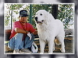 ジュリアス 写真3