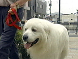 ジュリアス 写真4