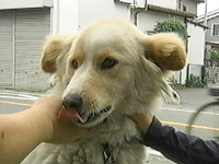 ݂邭 ʐ^1