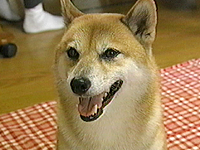  ʐ^1