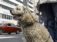 まる 写真1