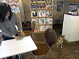 ぽん 写真3