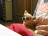 VC ʐ^3