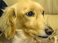 ���� �ʐ^1