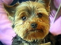 �W���b�L�[ �ʐ^1