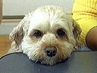 ������ �ʐ^1