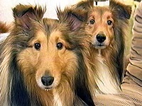 �T�V��@���Y �ʐ^1