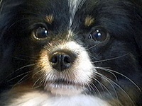 ���� �ʐ^1