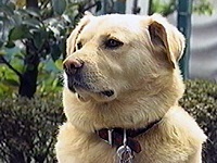 �C�`���[ �ʐ^1