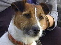 J�i�W�F�[�j �ʐ^1