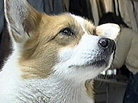 �~�V�F�� �ʐ^1