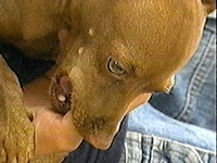 �N�b�L�[ �ʐ^1