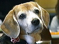 ���т� �ʐ^1