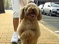 �`���R �ʐ^1