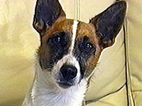 �A���f�B �ʐ^1