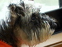 �݂����[ �ʐ^1