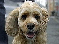 �����Y �ʐ^1