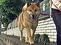 �T�X�P �ʐ^1