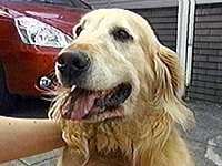 �v���� �ʐ^1