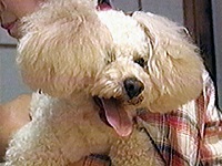 ���� �ʐ^1