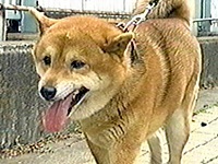 ����؁[ �ʐ^1