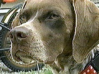 �A���A �ʐ^1