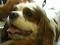 �W���� �ʐ^1