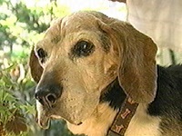 �N�b�L�[ �ʐ^1