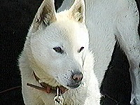 �T�X�P �ʐ^1