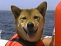 ������ �ʐ^1