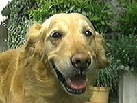 �W�F���[ �ʐ^1