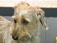 �P�j�[ �ʐ^1