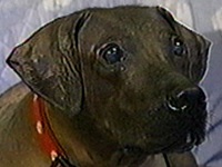 �l�[�� �ʐ^1