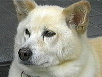 �~���N �ʐ^1