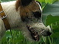 ���� �ʐ^1