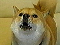 �|���� �ʐ^1