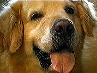 �S���� �ʐ^1