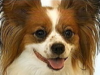 ������ �ʐ^1