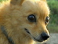 �e���[ �ʐ^1