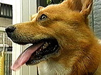 �����h�� �ʐ^1