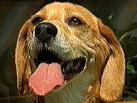 �r�[�� �ʐ^1