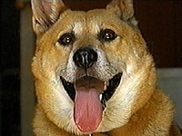 �^���E �ʐ^1