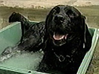 �W���j�[ �ʐ^1