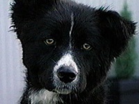 ������ �ʐ^1