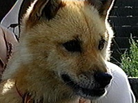 �}���[ �ʐ^1