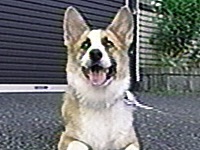 ���� �ʐ^1