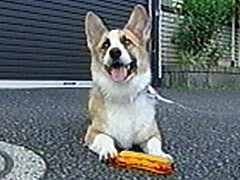 ���� �ʐ^5