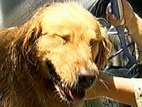 ���� �ʐ^1