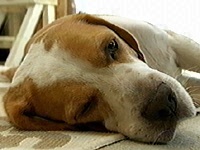 ���� �ʐ^1