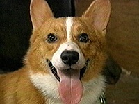 �����Y �ʐ^1